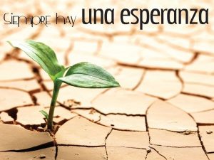 No Olvides