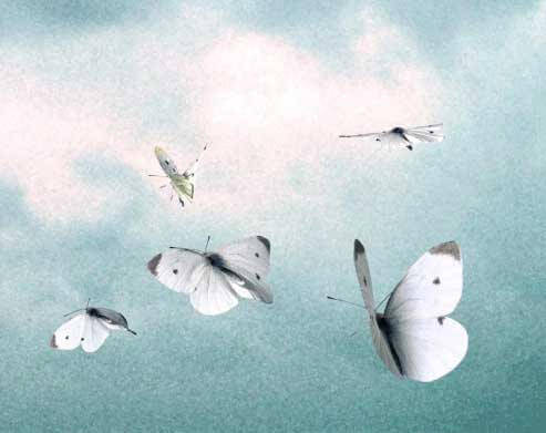 Poesía poesias-alzheimer-universal