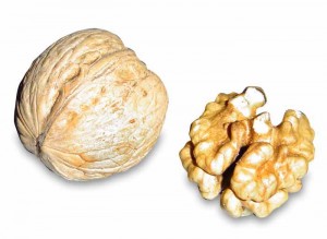Nueces y Cerebro