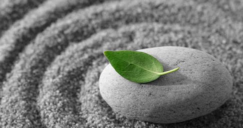 Mindfulness