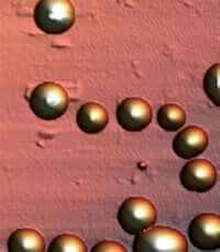 Materiail-Alzheimer-mas-fuerte-kevlar