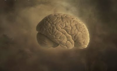 Anosognosia - Cerebro