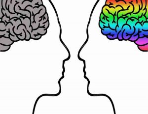 Decálogo para mantener el cerebro en forma.Si queremos llegar a la vejez con un cerebro en perfectas condiciones hay que cuidarlo a lo largo de toda la vida