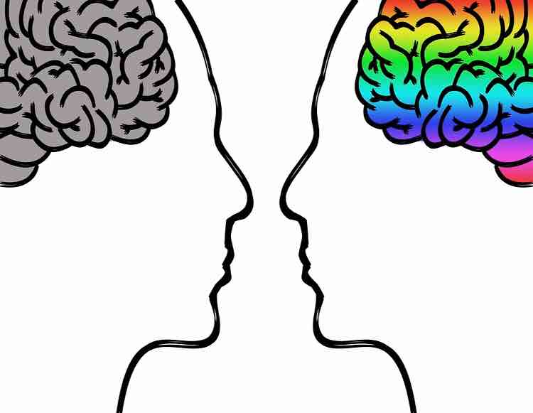 Decálogo para mantener el cerebro en forma.Si queremos llegar a la vejez con un cerebro en perfectas condiciones hay que cuidarlo a lo largo de toda la vida Decálogo para mantener el cerebro en forma.Si queremos llegar a la vejez con un cerebro en perfectas condiciones hay que cuidarlo a lo largo de toda la vida