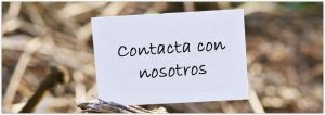 Contactar con Alzheimer Universal
