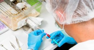 Identifican vías Moleculares Clave que Conducen a la Enfermedad de Alzheimer