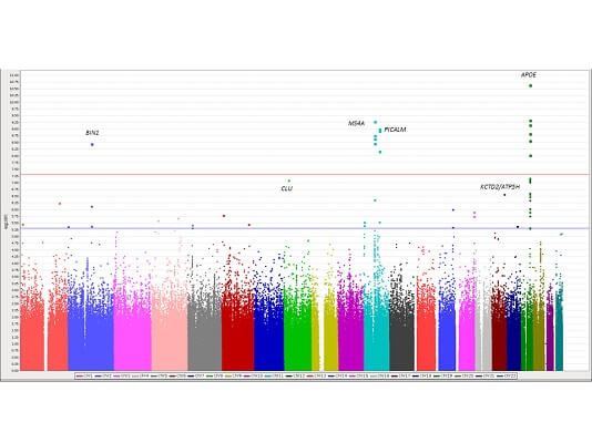 Figura 1 - Gráfico Manhattan plot del meta-análisis de ocho estudios (Murcia, ADNI, GenADA, NIA, TGEN, ADNI, Pifzer, GERAD y CHARGE). Un total de 1.098.485 SNPs son comunes al menos cuatro estudios. (Fundación ACE)