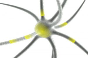 Los Diez Hitos que Revolucionan la Neurociencia: Las Neuronas al Desnudo