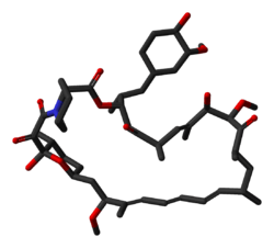 250px-Sirolimus-from-1C9H-3D-sticks