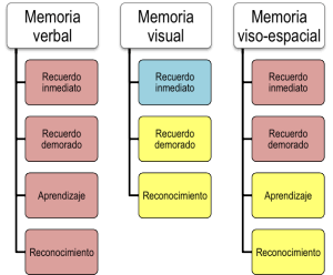 Figura 2.- Resultados. En rojo los procesos afectados por la apnea obstructiva del sueño. En azul los procesos preservados. En amarillo los procesos para los que no se dispuso de datos suficientes.