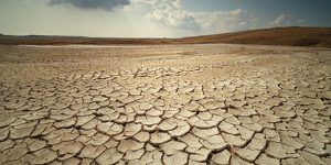 Comienza la cuenta atrás para el Día Mundial del Alzheimer