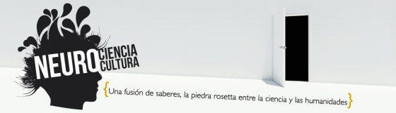 cabecerapacotraver4