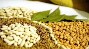 FOTOLIA La dieta mediterránea aporta minerales esenciales para la salud del cerebro