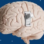 Nueve falsos mitos sobre el cerebro: El cerebro está inactivo mientras dormimos