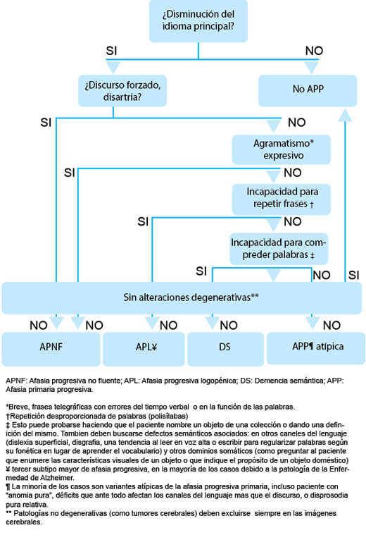 Demencia Frontotemporal: Fisiopatología, Diagnóstico y Tratamiento