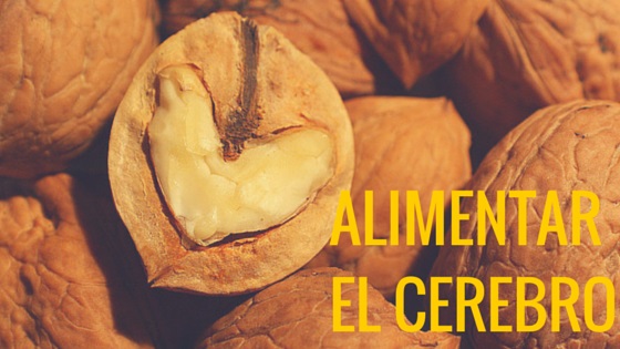 Cómo cuidar el cerebro. Nueces