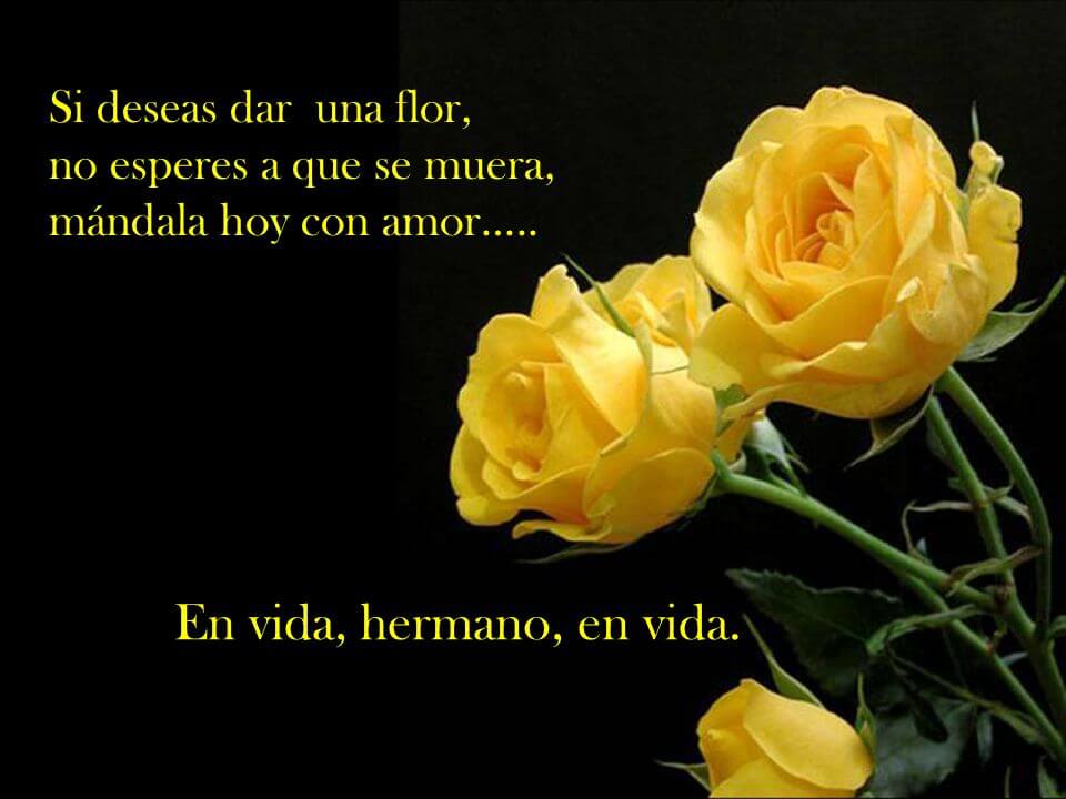 en-vida-hermano-en-vida