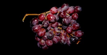 Resveratrol Uvas