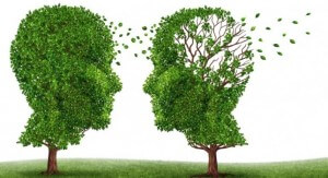 Estudian cómo bloquear a una enzima clave en el Alzheimer Un inhibidor potencialmente prometedor para el tratamiento del Alzheimer.