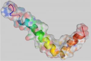 β-Amiloide (Aβ), no tan malo como se creía?.