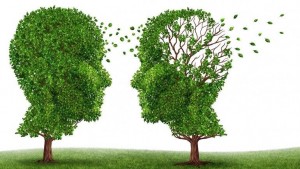 Poema Alzheimer. Sonríes con bondad, de puro bueno, sin comprender nada. La noche se hace profunda, -enredadera de frases incomprensibles. Jose Luis Bragado