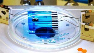 Sensor detectaría cáncer, alzheimer y parkinson
