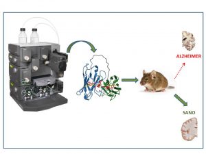 Crowdfunding en busca de nuevos fármacos para el Alzheimer
