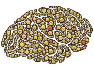 Necesidad de un Banco de Cerebros para Avanzar en Estudio del Alzheimer. Marmaneu planteó la importancia de crear un banco de cerebros (tejidos y cerebros)…