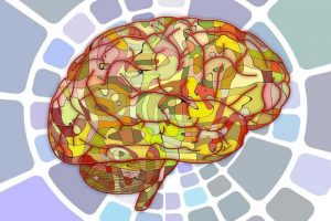 Estimulación Cognitiva y Rehabilitación Neuropsicológica (8 módulos gratis)