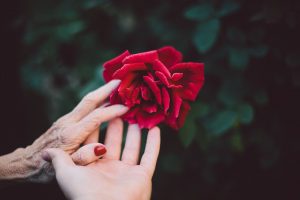 Tips para evitar conflictos entre hermanos cuando se cuida