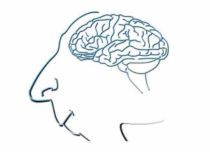 Limpiar el cerebro de Alzheimer