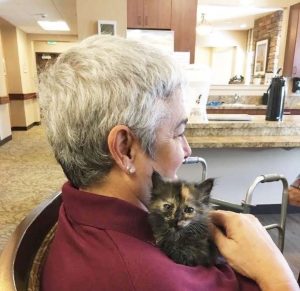 Gatitos y Abuelos con Alzheimer