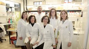 Nuevo Parche Transdérmico para Administrar Fármacos en el Alzheimer