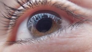 Glaucoma y Enfermedad de Alzheimer