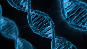 Pruebas de Nuevo Tratamiento Contra el Alzheimer