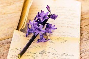 Carta A Mi Madre Por Eliana Perez Galleguillos