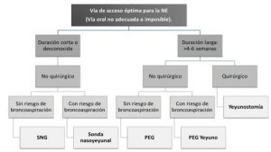 Gráfico 1: ESPEN guidelines on artificial enteral nutrition-Percutaneous endoscopic gastrostomy (PEG). Clinical Nutrition 2005.