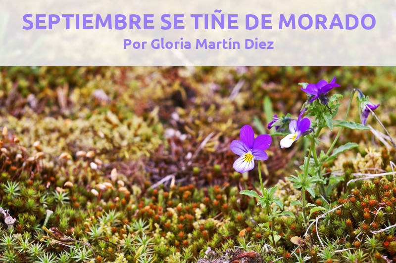 SEPTIEMBRE SE TIÑE DE MORADO