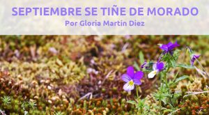 SEPTIEMBRE SE TIÑE DE MORADO_twitter