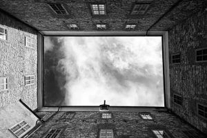 El Contagio Del Alzheimer