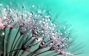 Productos Naturales Como Futuro Tratamiento de la Enfermedad de Alzheimer