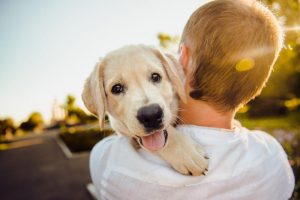 Hemos Recopilado más Actividades para Hacer en Casa (Sugerencias para Cuidar Mejor)