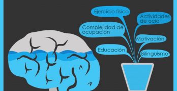 Reserva cognitiva explicada