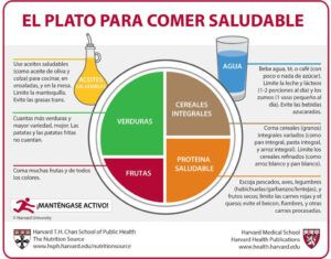 ALIMENTOS BENEFICIOSOS PARA LA MEMORIA