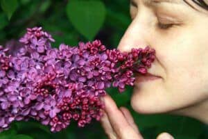 DISFUNCIONES SENSORIALES EN ALZHEIMER