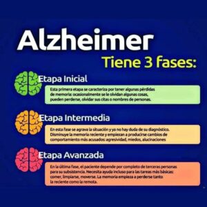 Cuántas fases tiene el Alzheimer