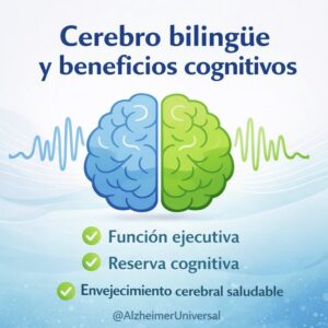 Cerebro bilingüe y beneficios cognitivos
